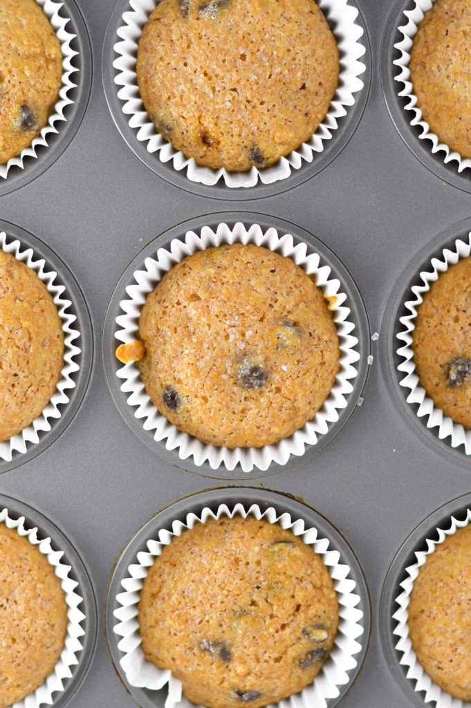 Yogurt Dark Chocolate Chip Muffins