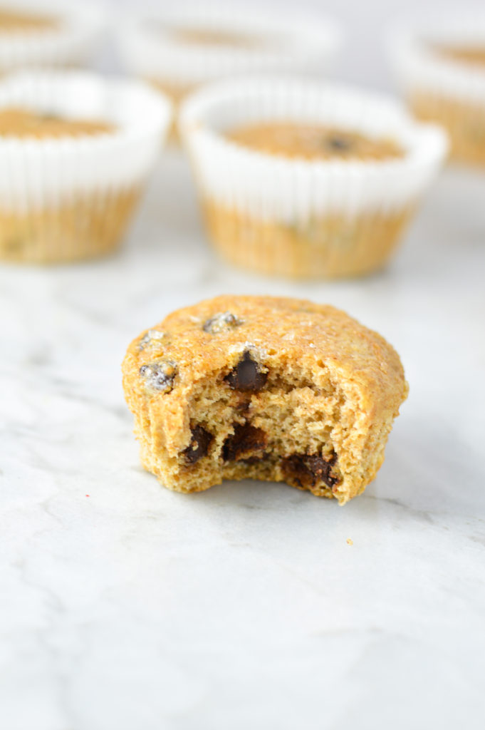 Yogurt Dark Chocolate Chip Muffins