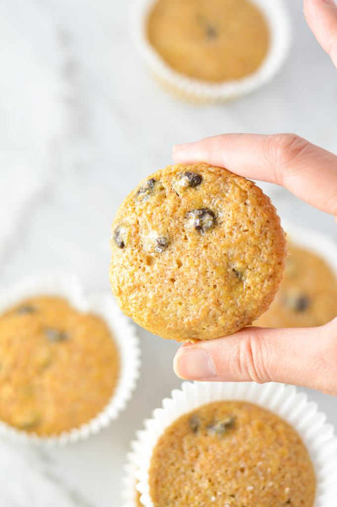 Yogurt Dark Chocolate Chip Muffins