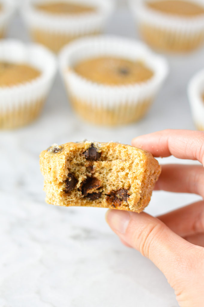 Yogurt Dark Chocolate Chip Muffins