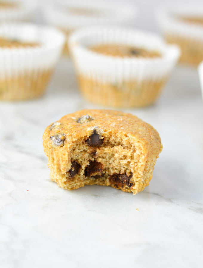 Yogurt Dark Chocolate Chip Muffins