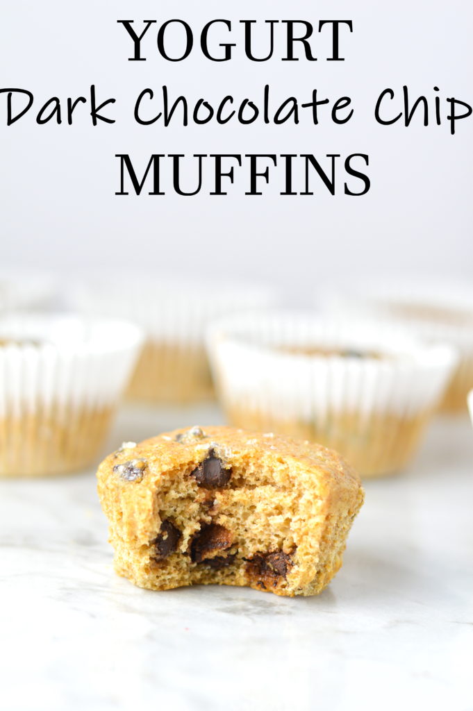 Yogurt Dark Chocolate Chip Muffins