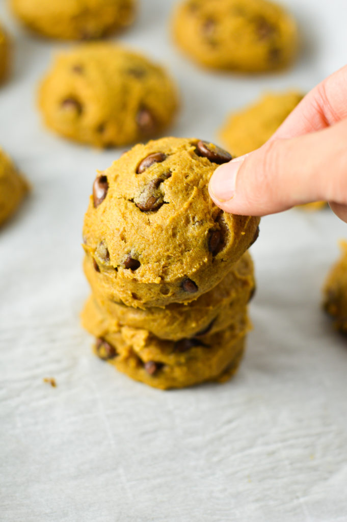 Pumpkin Chocolate Chip Cookies