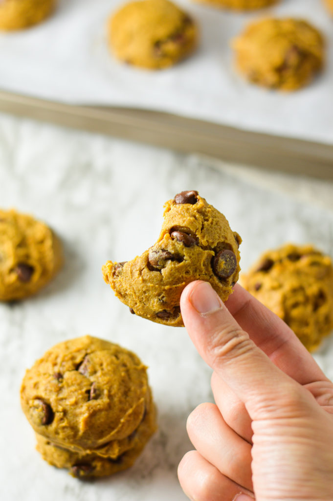 Pumpkin Chocolate Chip Cookies