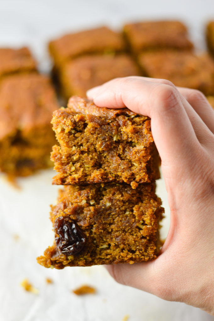 Raisin and Coconut Pumpkin Snack Cake