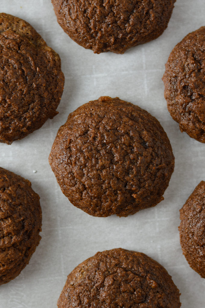 Fudgy Chocolate Cookies