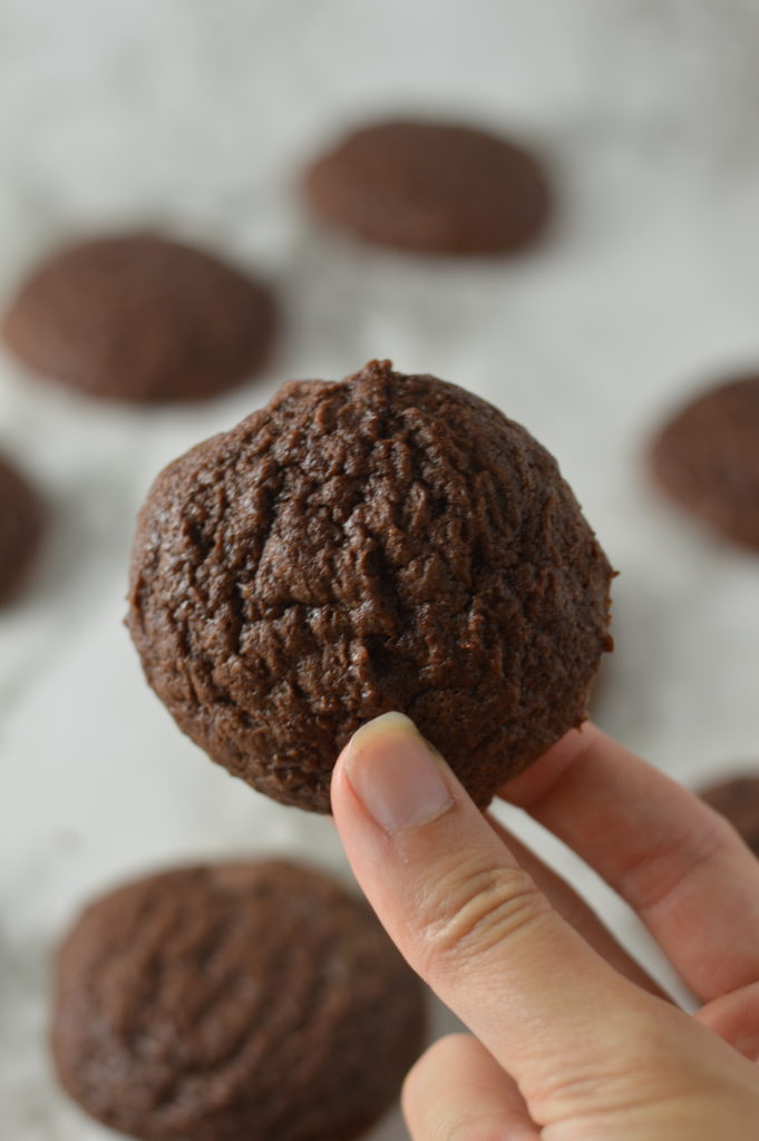 Fudgy Chocolate Cookies