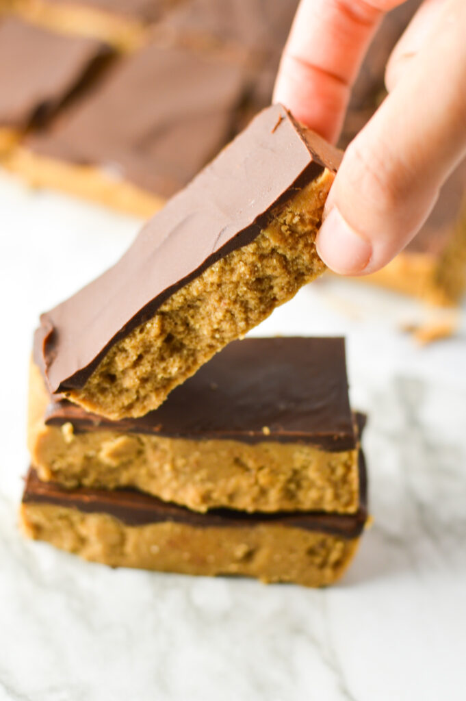 Double Chocolate Peanut Butter Protein Bars