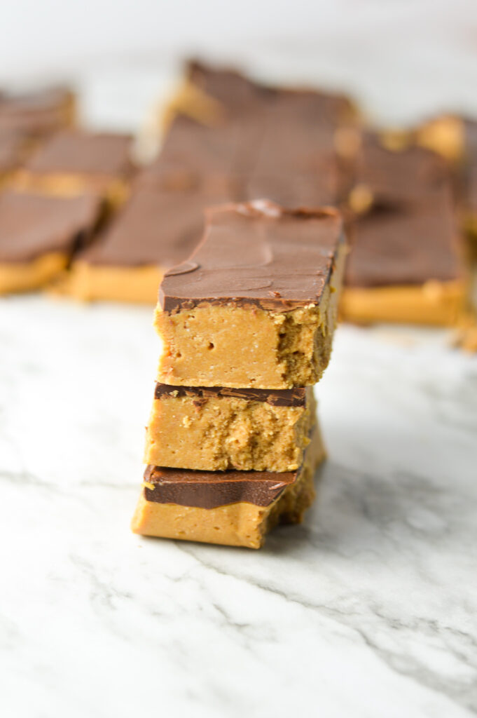 Double Chocolate Peanut Butter Protein Bars