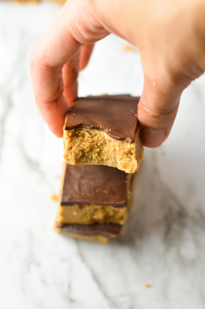 Double Chocolate Peanut Butter Protein Bars