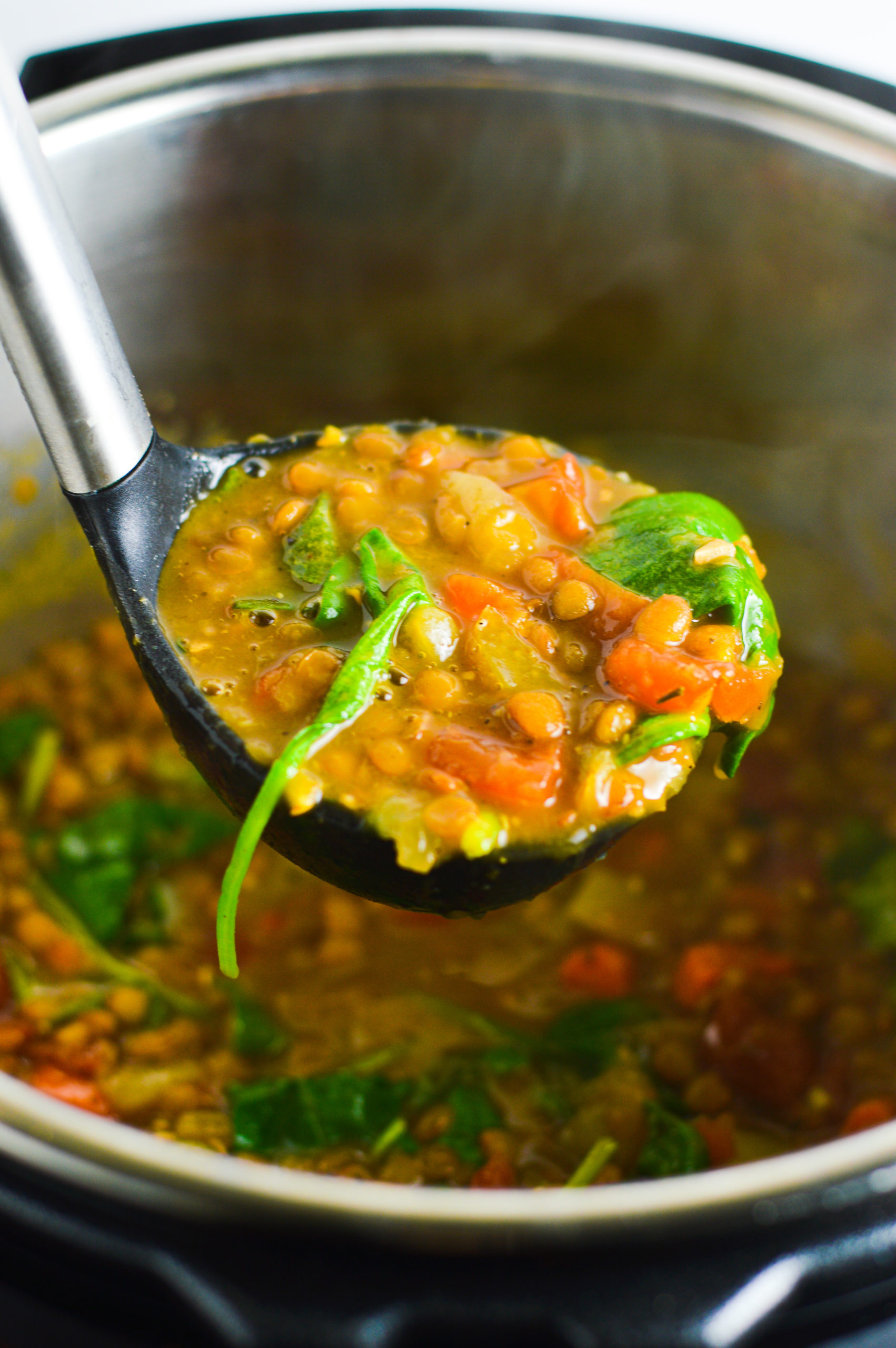 Vegan Instant Pot Lentil Soup | A Taste Of Madness