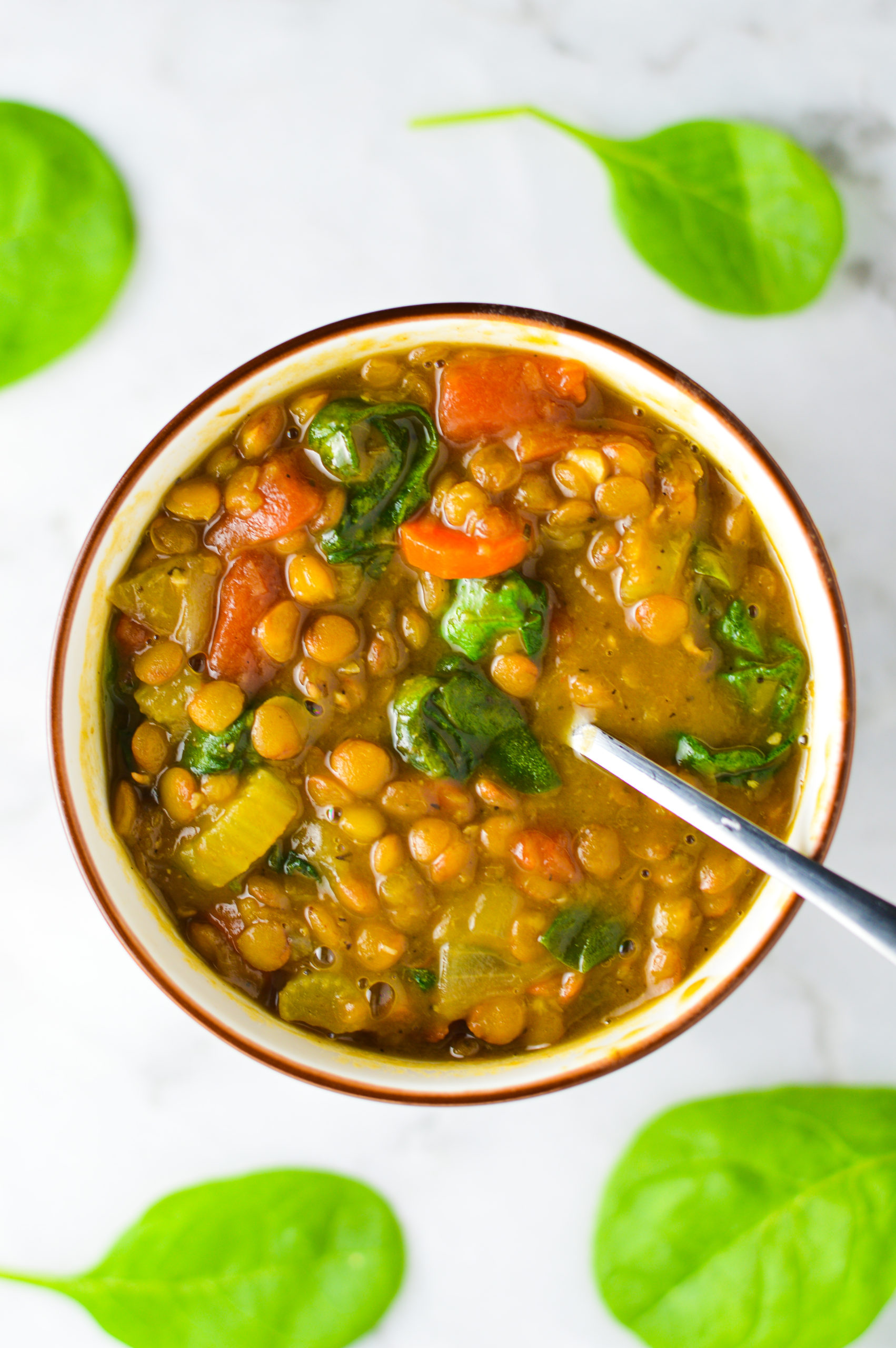 Vegan Instant Pot Lentil Soup