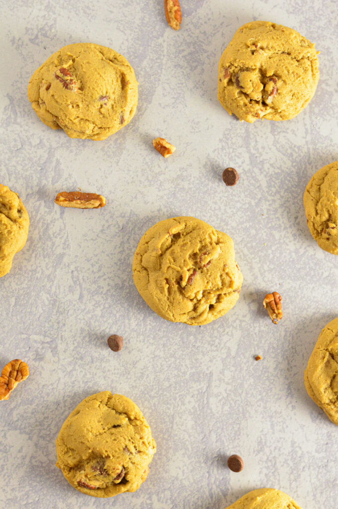 Pecan Chocolate Chip Cookies