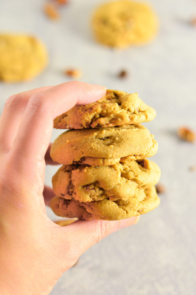 Pecan Chocolate Chip Cookies