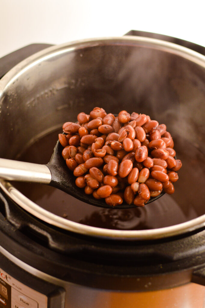 Instant Pot Small Red Beans