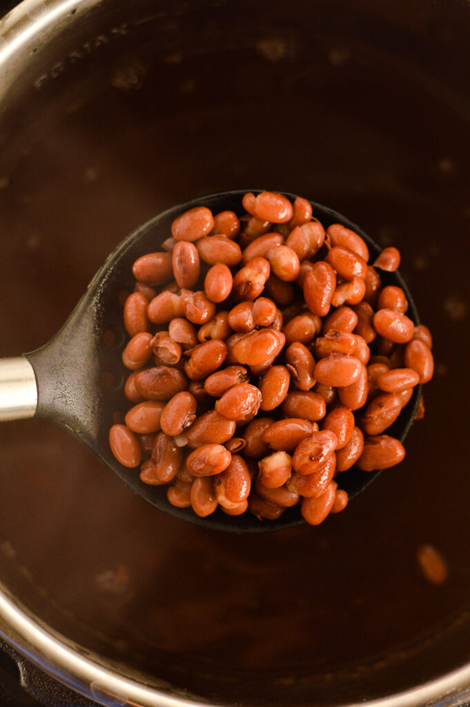 Instant Pot Small Red Beans A Taste of Madness