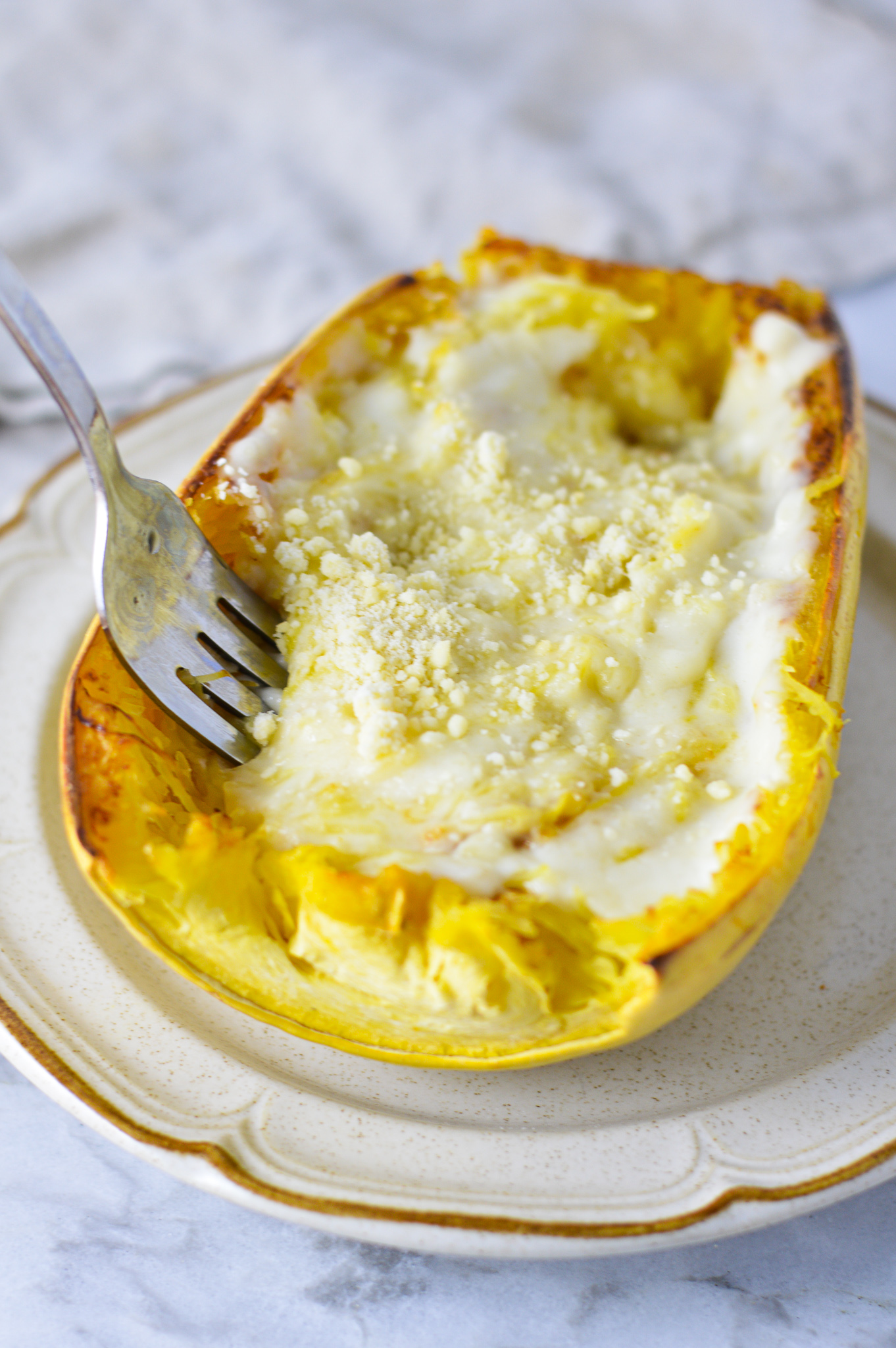 Spaghetti Squash Alfredo