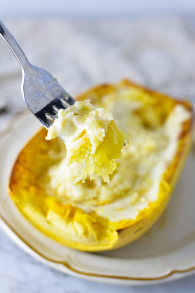 Spaghetti Squash Alfredo