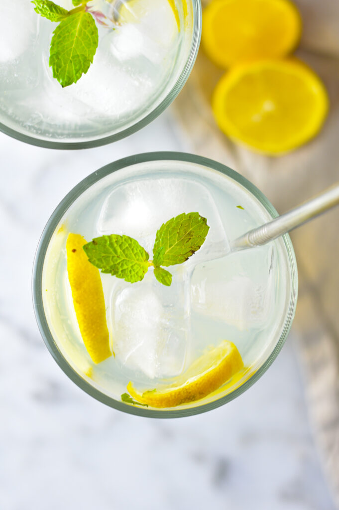 Meyer Lemon Mojito