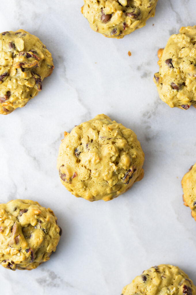 Cranberry Chocolate Chip Oatmeal Cookies