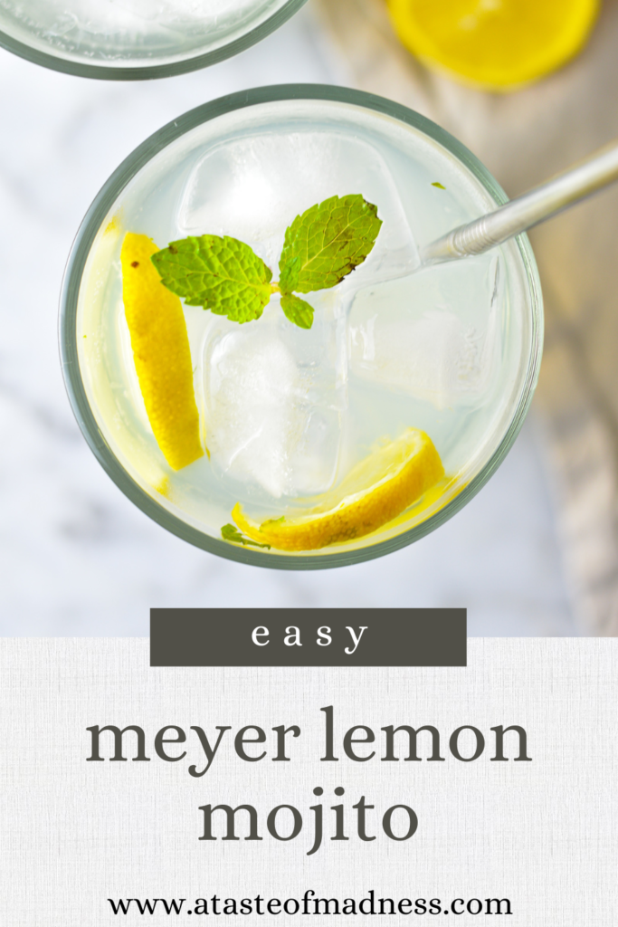 Meyer Lemon Mojito