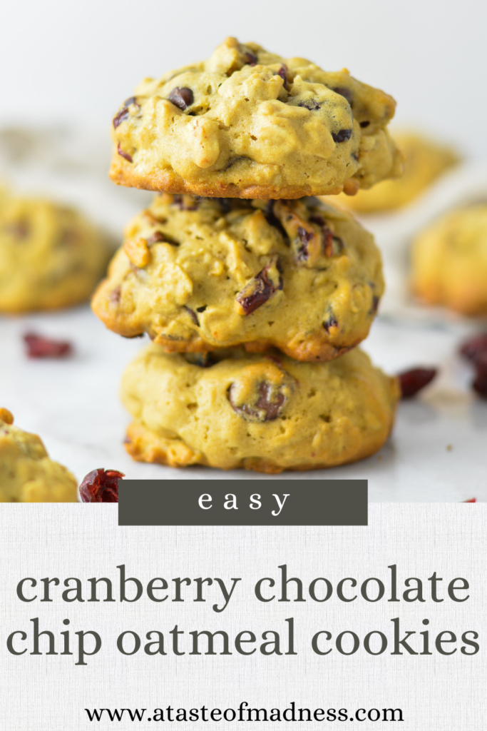 Cranberry Chocolate Chip Oatmeal Cookies