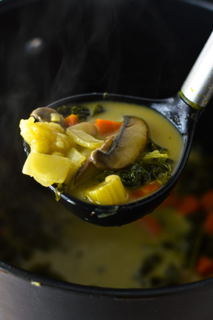 Creamy Kale and Mushroom Soup