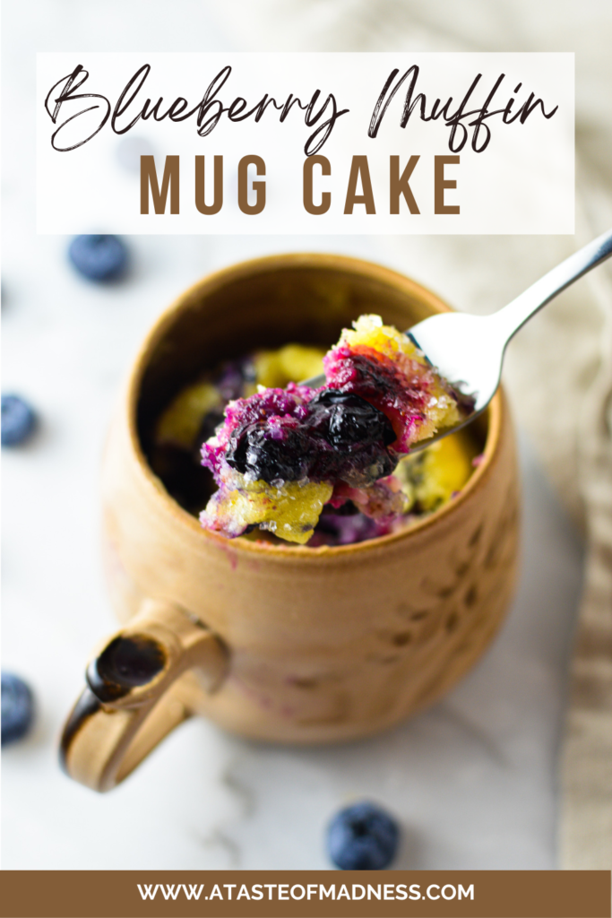 Blueberry Muffin Mug Cake