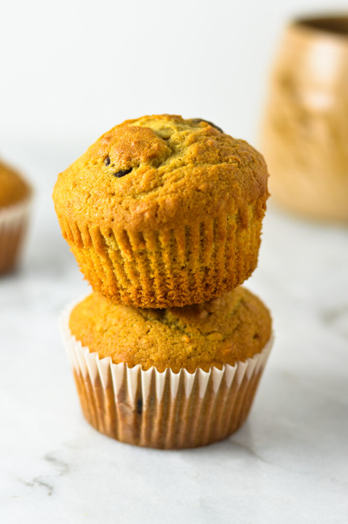 Chocolate Chip Coffee Coconut Muffins