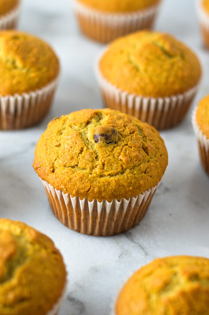 Chocolate Chip Coffee Coconut Muffins