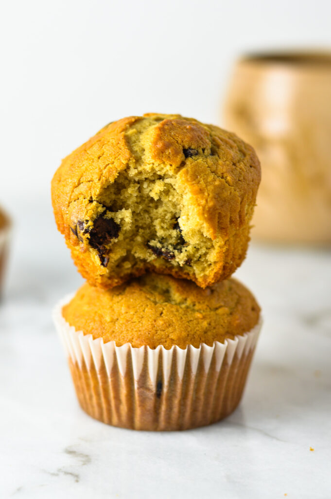 Chocolate Chip Coffee Coconut Muffins