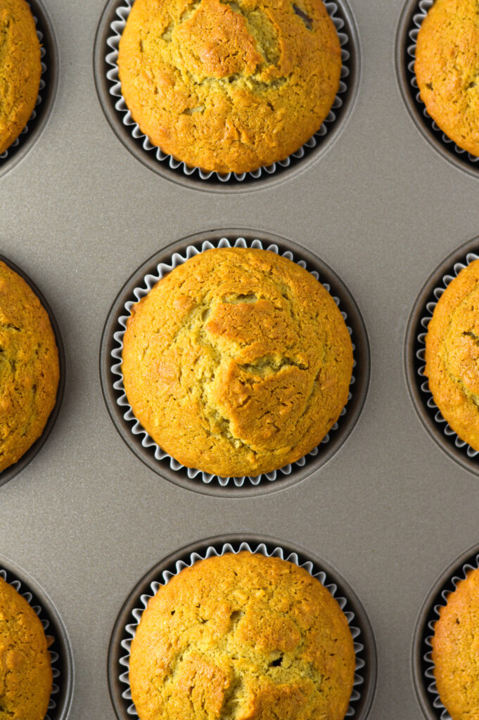 Chocolate Chip Coffee Coconut Muffins