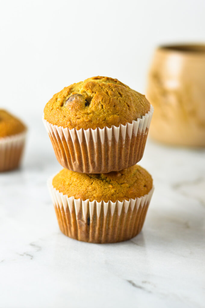 Chocolate Chip Coffee Coconut Muffins