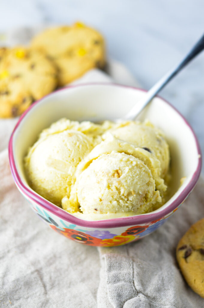 Chips Ahoy Pudding Ice Cream