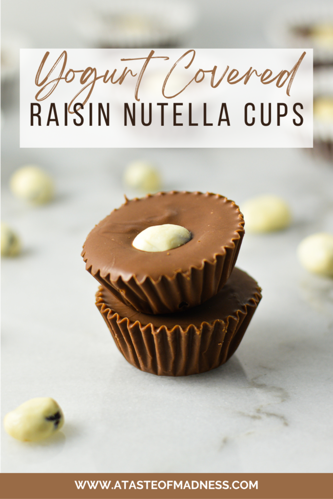 Yogurt Covered Raisin Nutella Cups