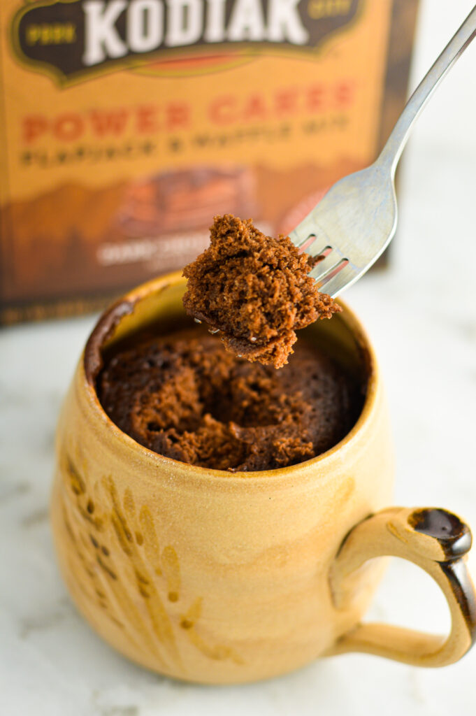 Chocolate Protein Mug Cake