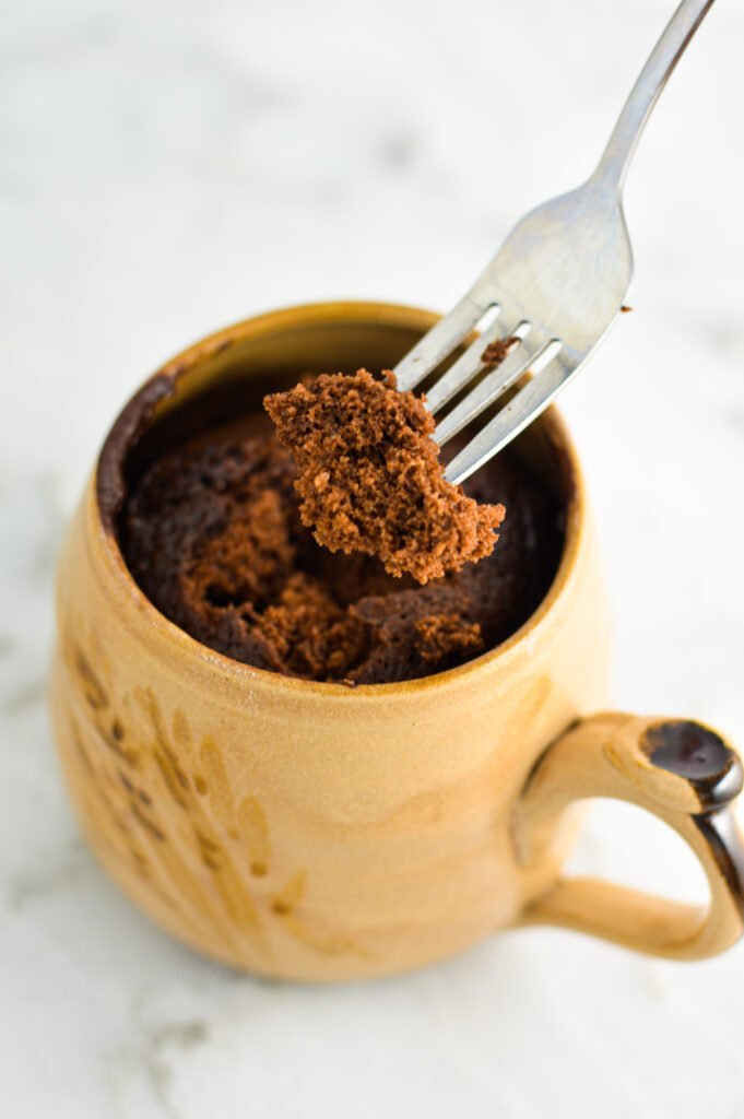 Chocolate Protein Mug Cake