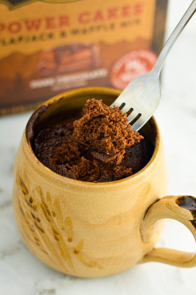 Chocolate Protein Mug Cake