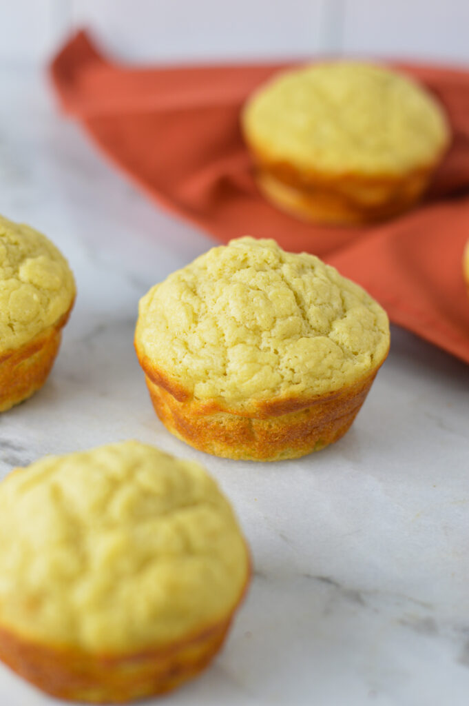 Sugar Free Yogurt Muffins