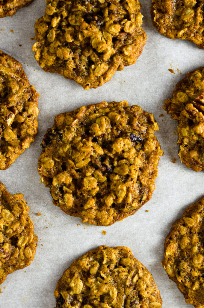 Oatmeal Cranberry Pecan Cookies