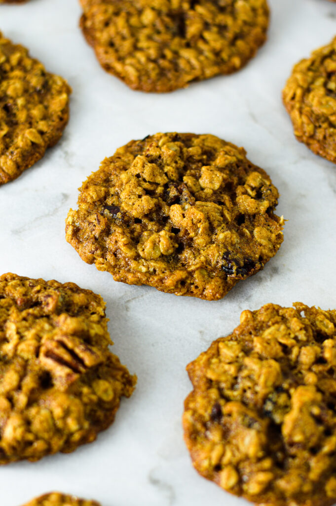 Oatmeal Cranberry Pecan Cookies