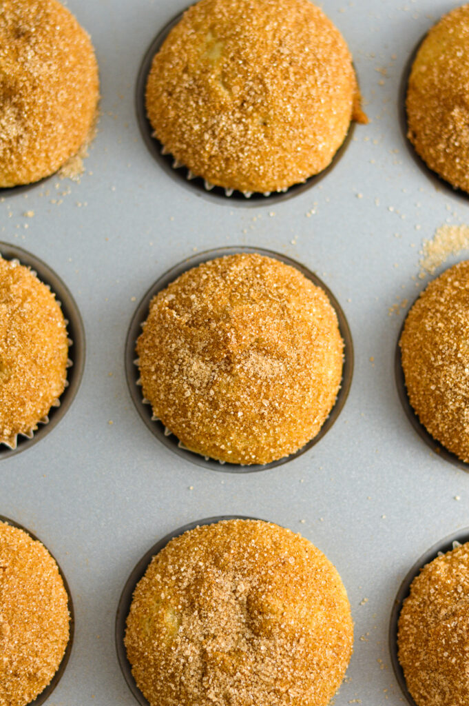 Overhead shot of Churro Mini Muffins in a mini muffin pan.