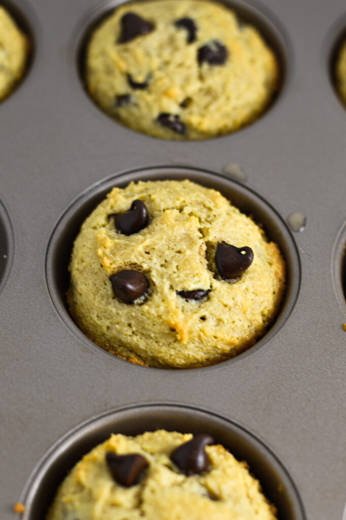 Paleo Chocolate Chip Muffins