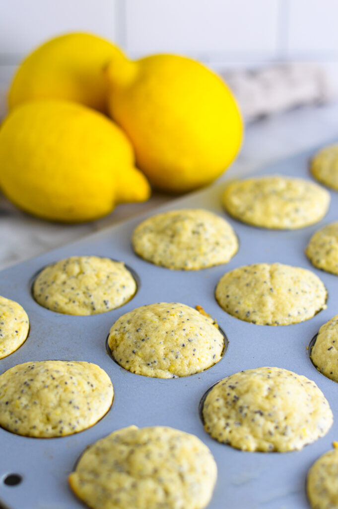 A mini muffin tin with Lemon Poppy Seed Mini Muffins with 3 lemons in the background.