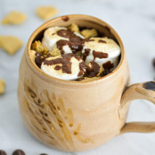 S'mores Mug Cake with toasted marshmallows and melted chocolate chips on top.