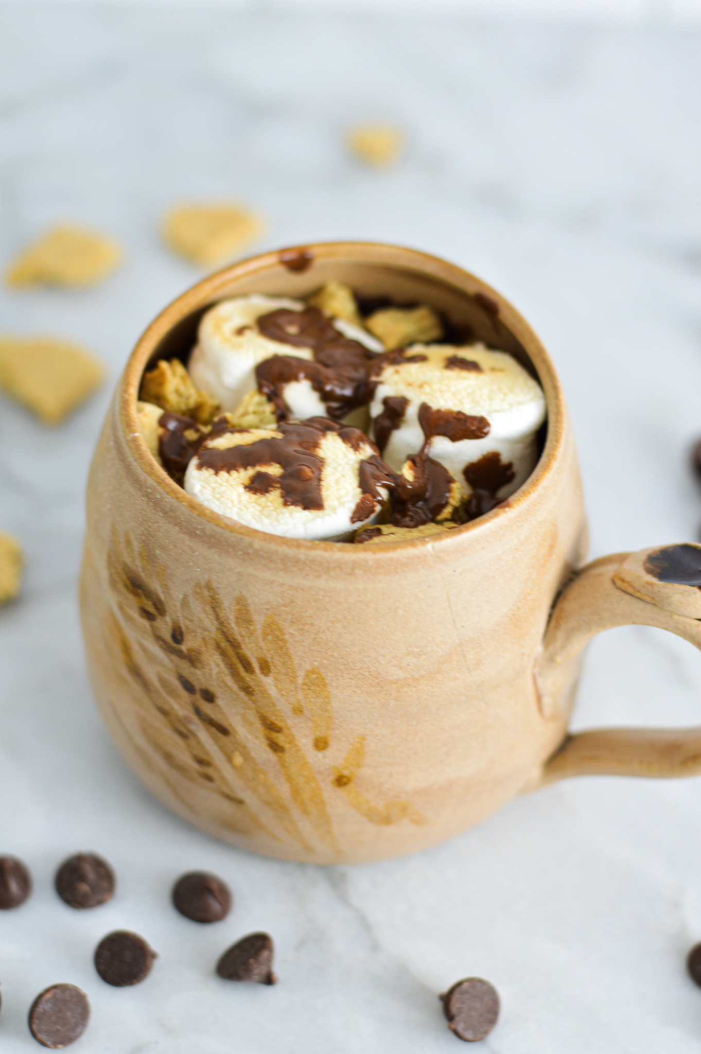 S'mores Mug Cake with toasted marshmallows and melted chocolate chips on top.