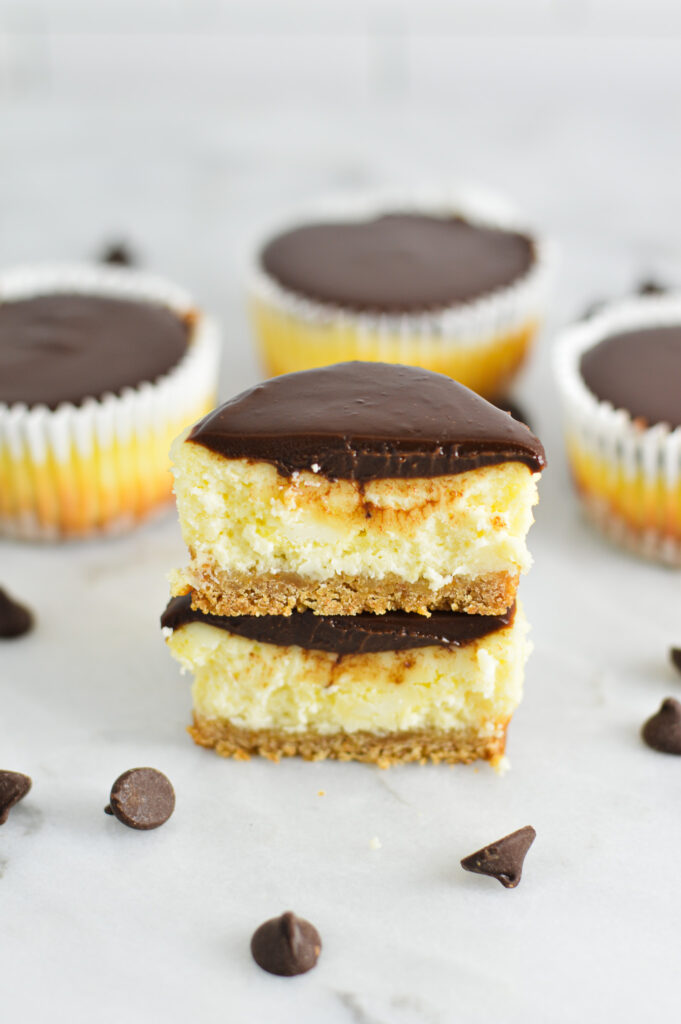 Mini Chocolate Ganache Cheesecakes cut in half surrounded by semi-sweet chocolate chips.