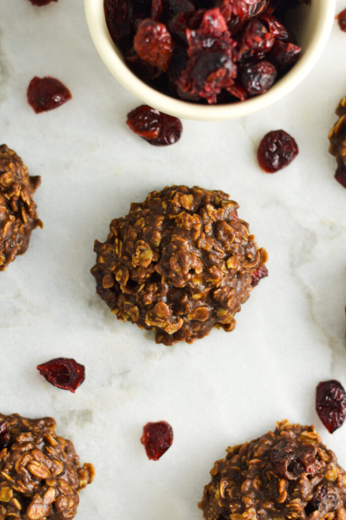 No Bake Nutella Cranberry Oatmeal Cookies with dried cranberries in a small bowl in the background.