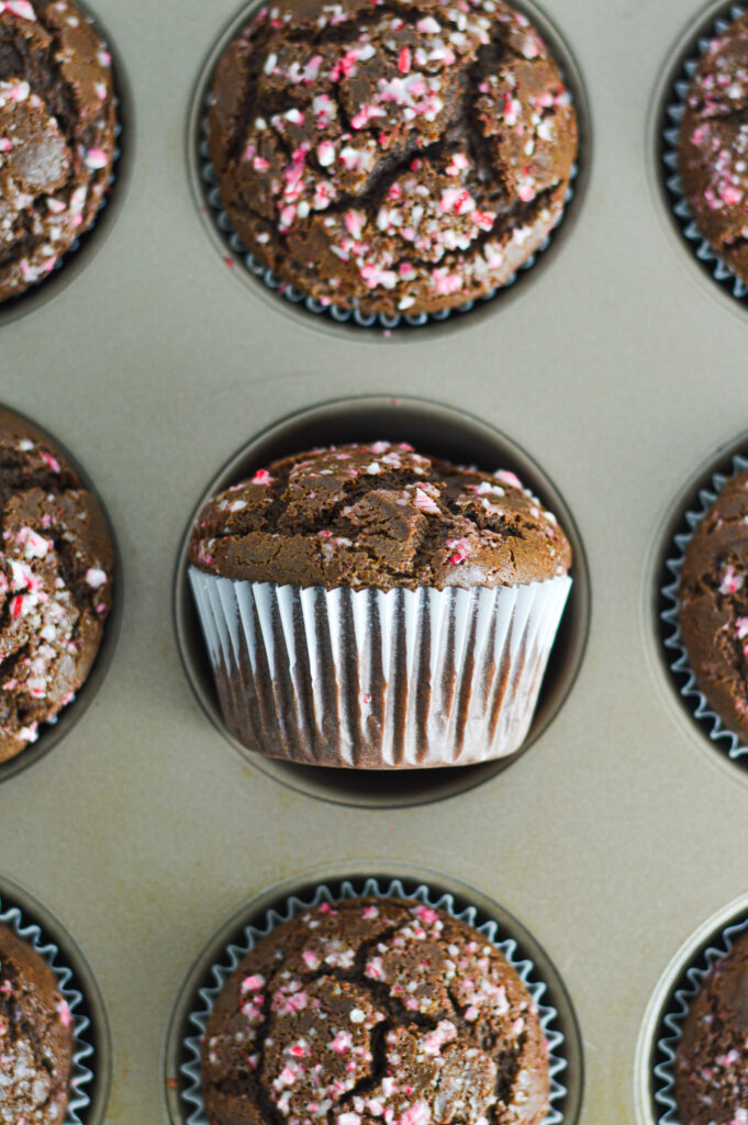 Peppermint Creamer Chocolate Muffins in paper liners in a standard muffin pan.