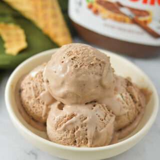 A shallow bowl filled with rich scoops of No Churn Nutella Ice Cream. A jar of Nutella and a broken up waffle cone are in the background.